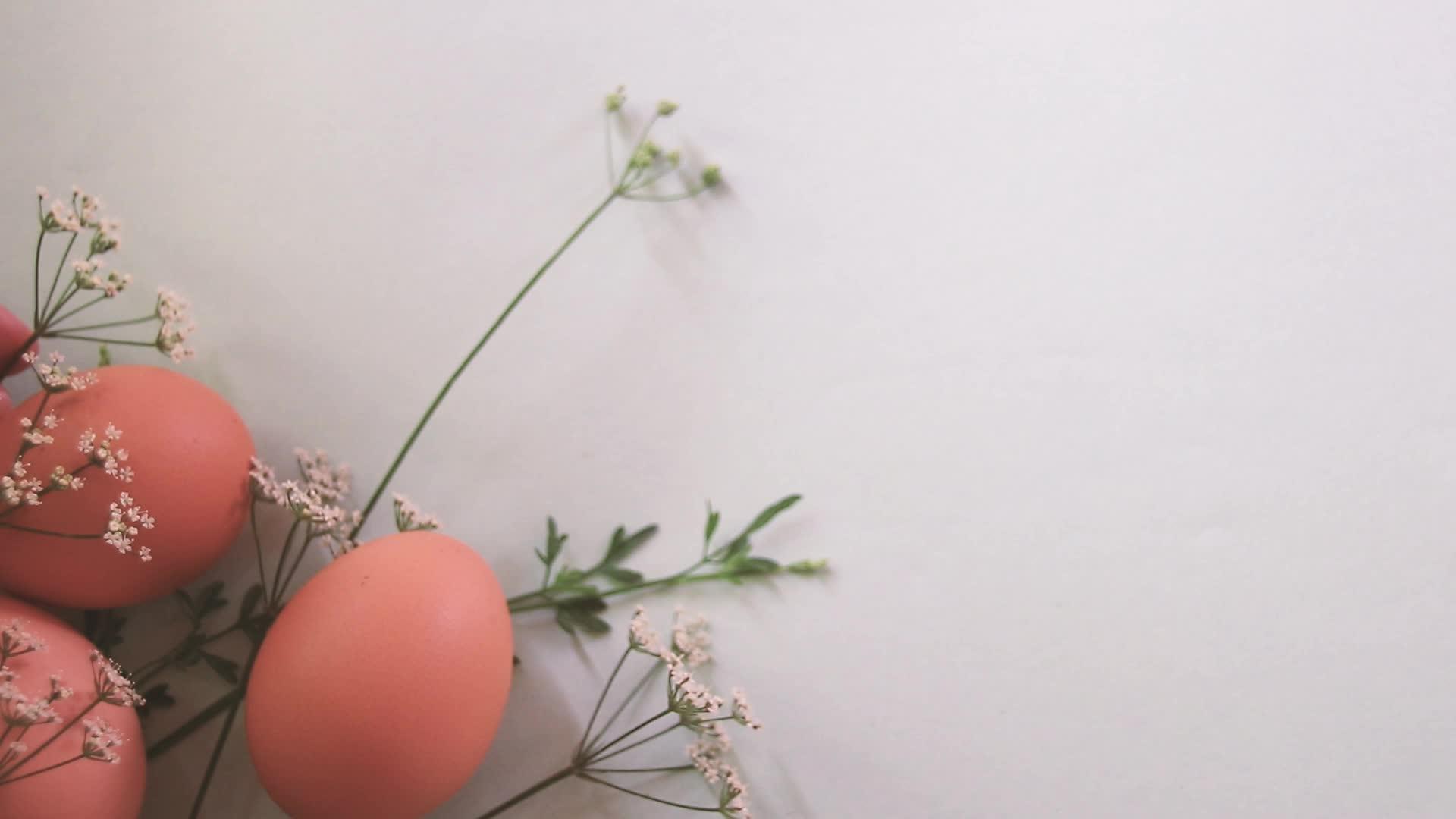 轻轻安排棕蛋和精致的白花视频的预览图