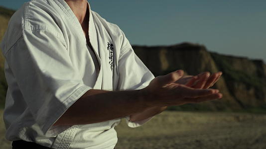 跆拳道大师在山附近练武术视频的预览图