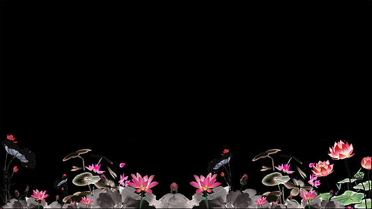 水墨荷花动画带透明度通道视频的预览图