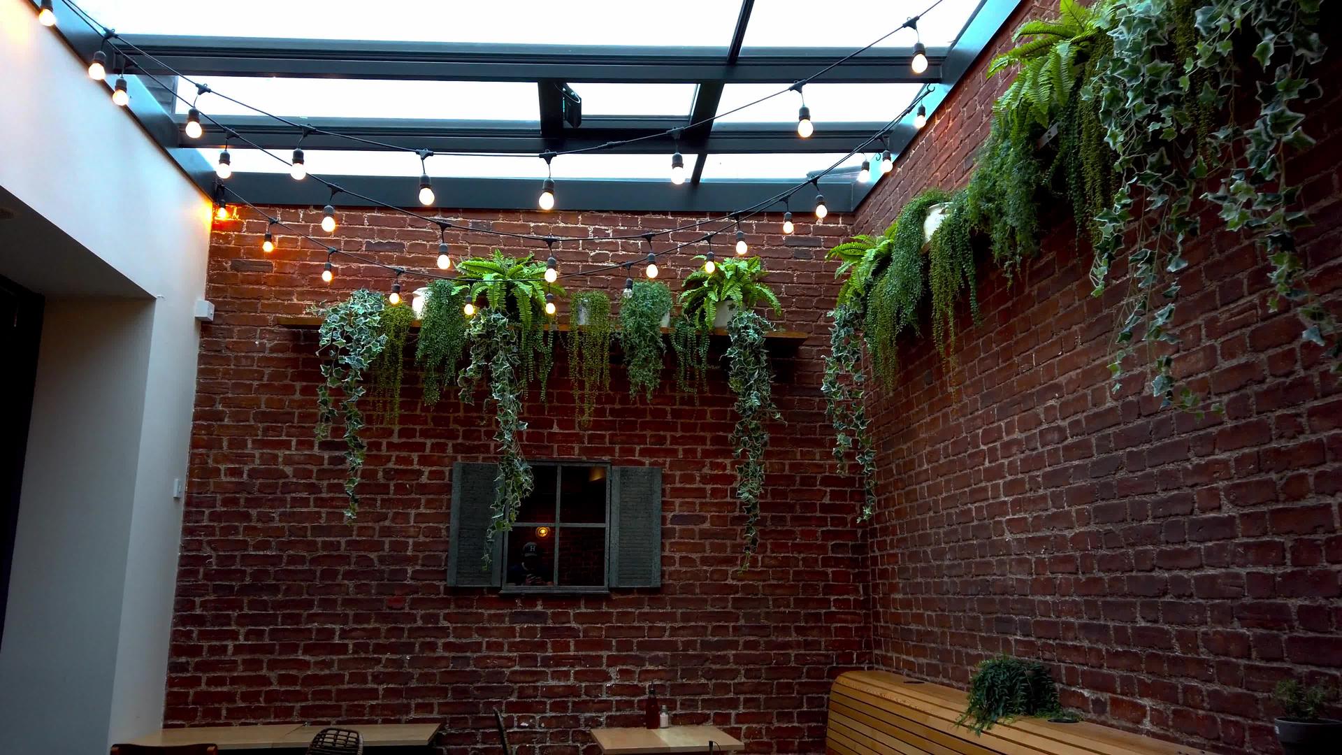 植物挂在有玻璃天花板的素食餐厅的砖墙上视频的预览图
