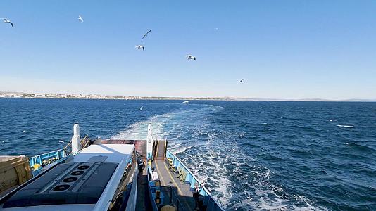 土耳其马尔玛拉海峡渡轮和海鸥视频的预览图