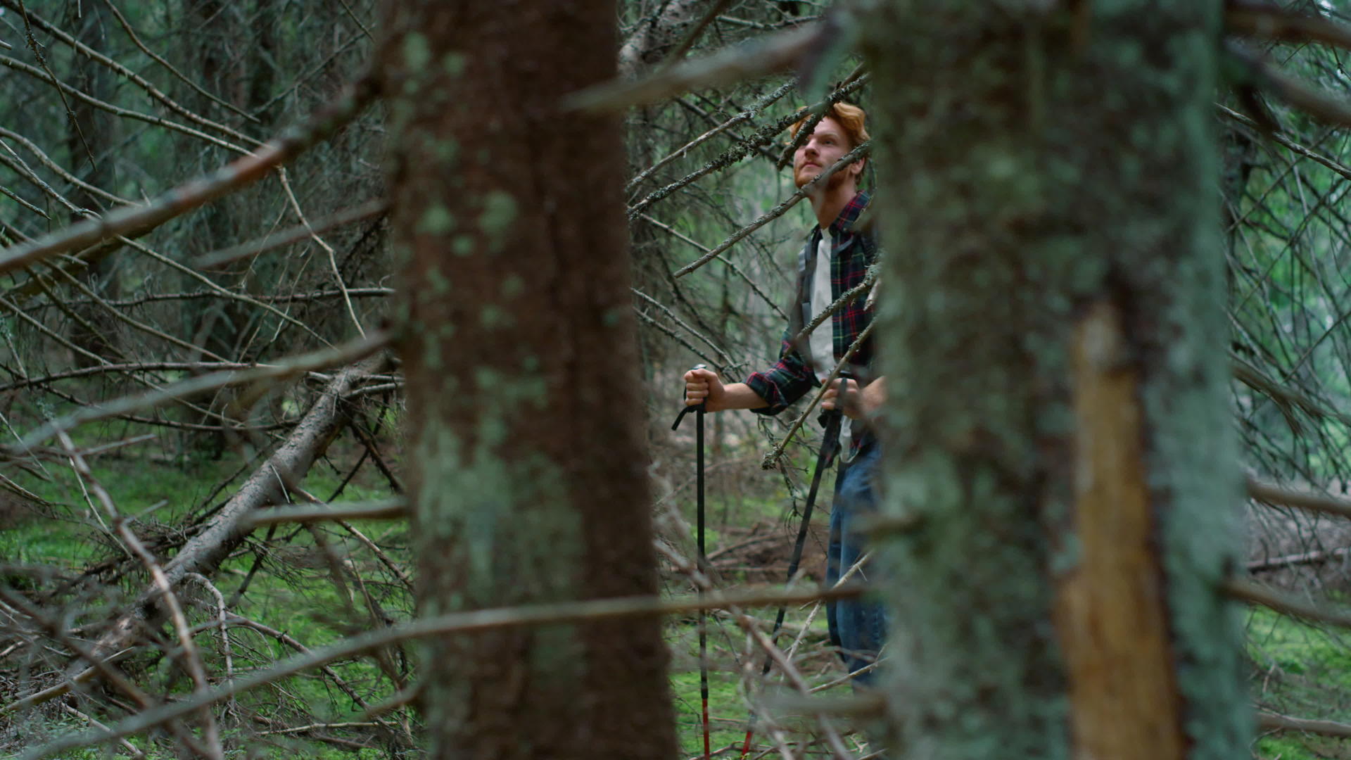 一个人背着包在绿树林里旅行微笑的家伙在远足后停下来休息视频的预览图