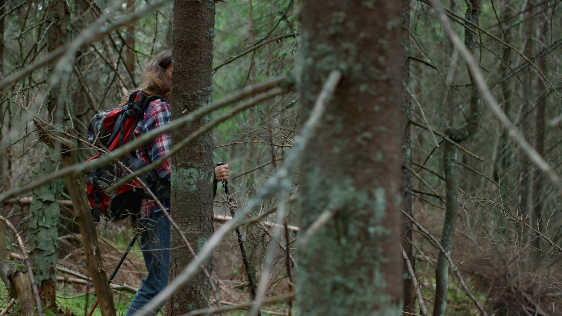 快乐的女人在树林里徒步旅行女性旅行者在童话森林中行走视频的预览图