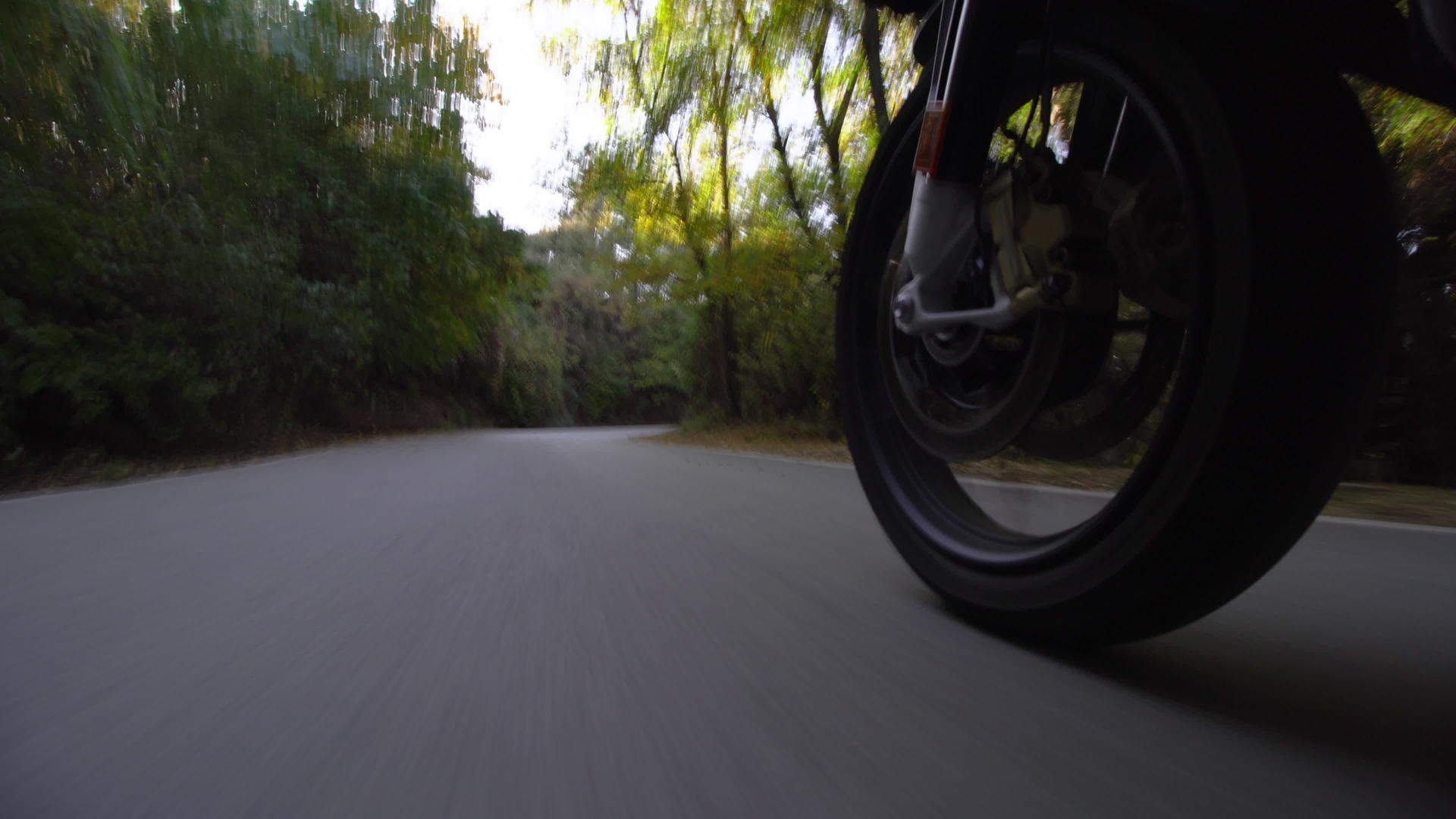 在大自然的路上骑摩托车视频的预览图