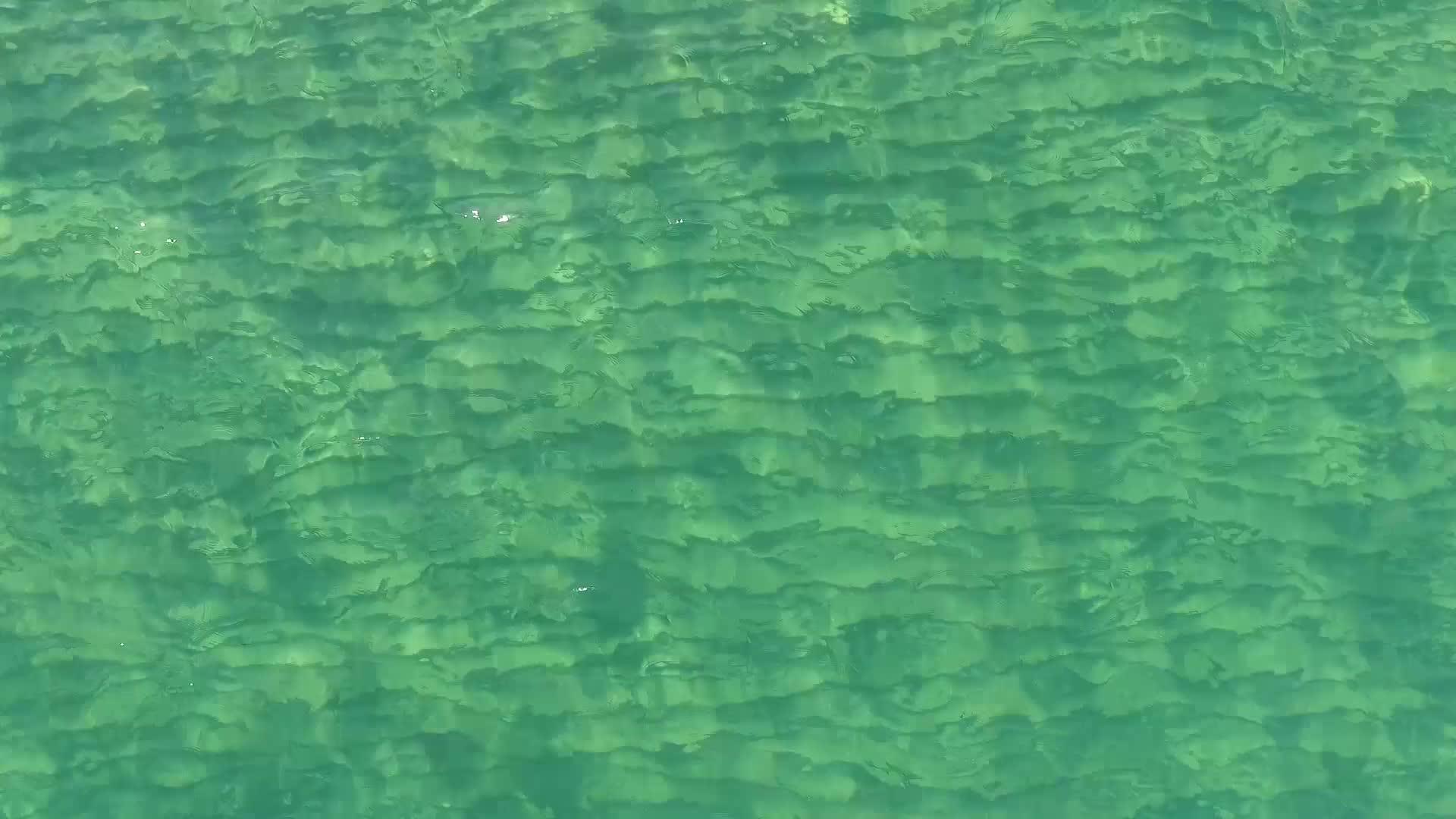 上面海水中的透明水视频的预览图