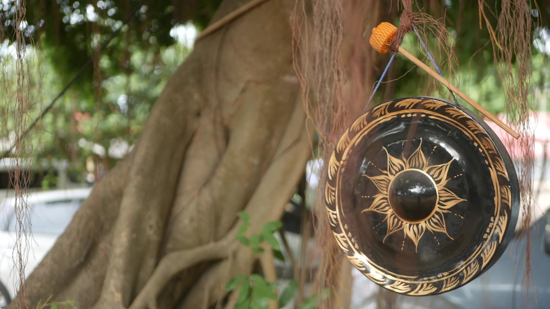 白天挂在班尼古树背景上的小传统挂钩是佛教宗教视频的预览图