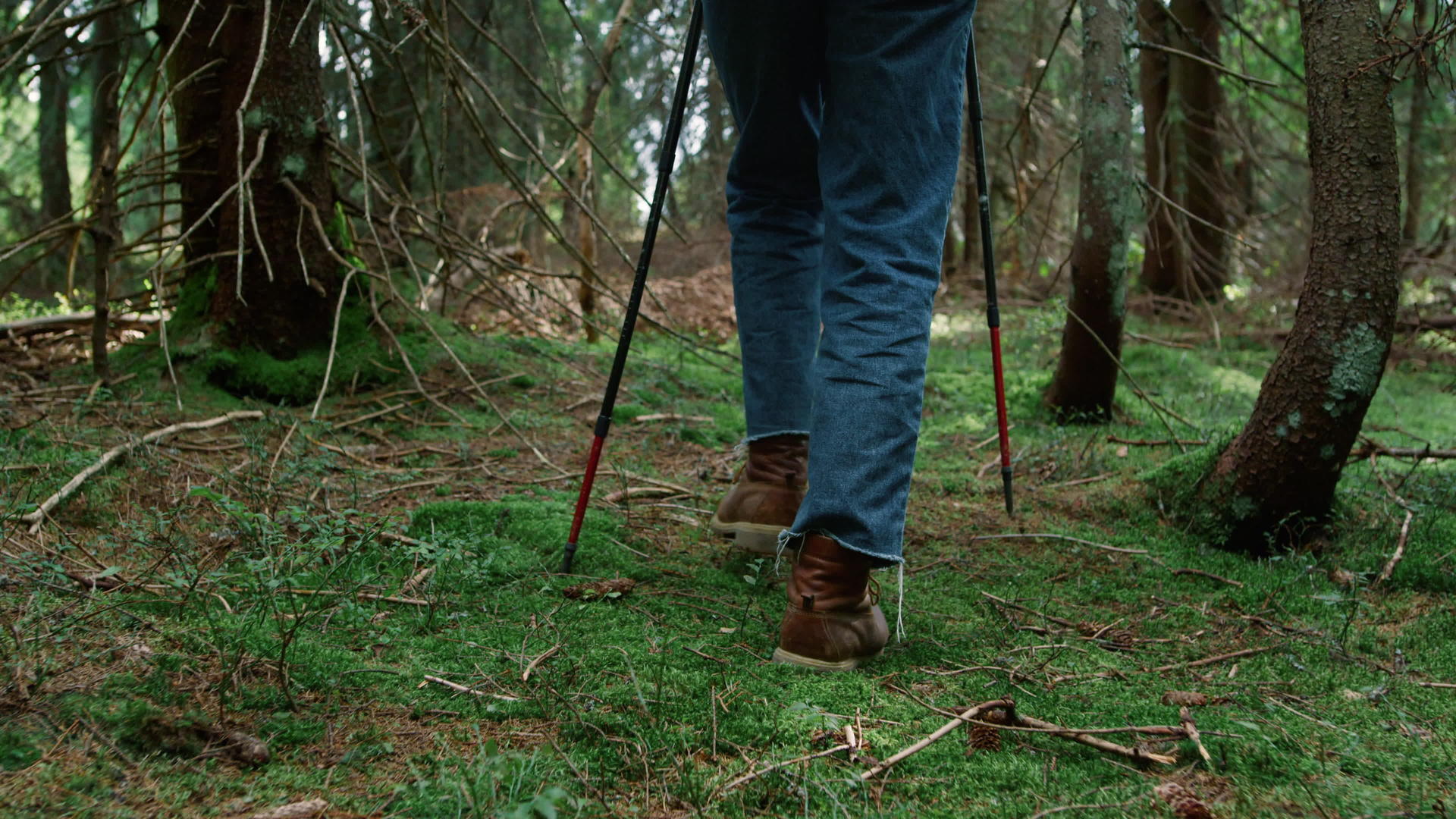 穿着登山靴的人在森林的苔藓上行走男性徒步旅行者在树林中徒步旅行视频的预览图