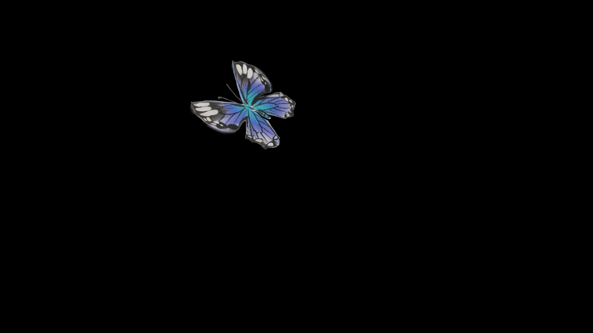 水墨蝴蝶飞舞动画元素视频的预览图