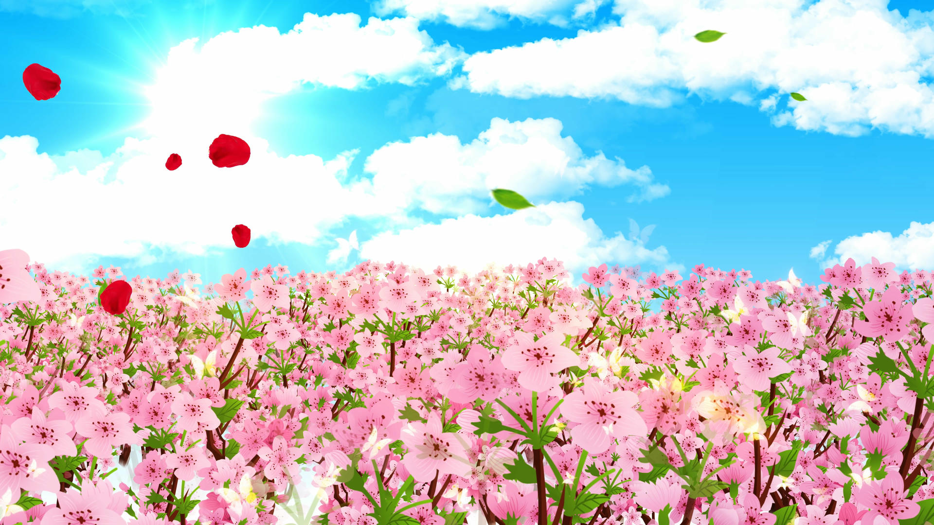 4K浪漫的樱花背景素材视频的预览图