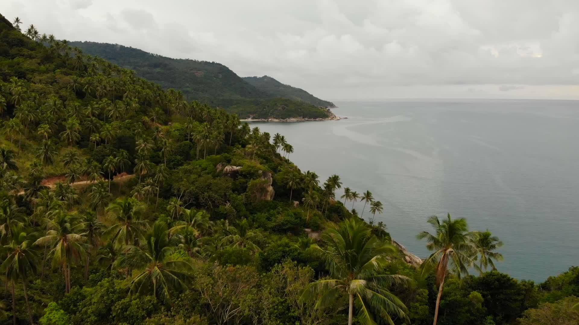 空中无人机俯瞰异国天堂热带海岸悬崖火山石覆盖视频的预览图