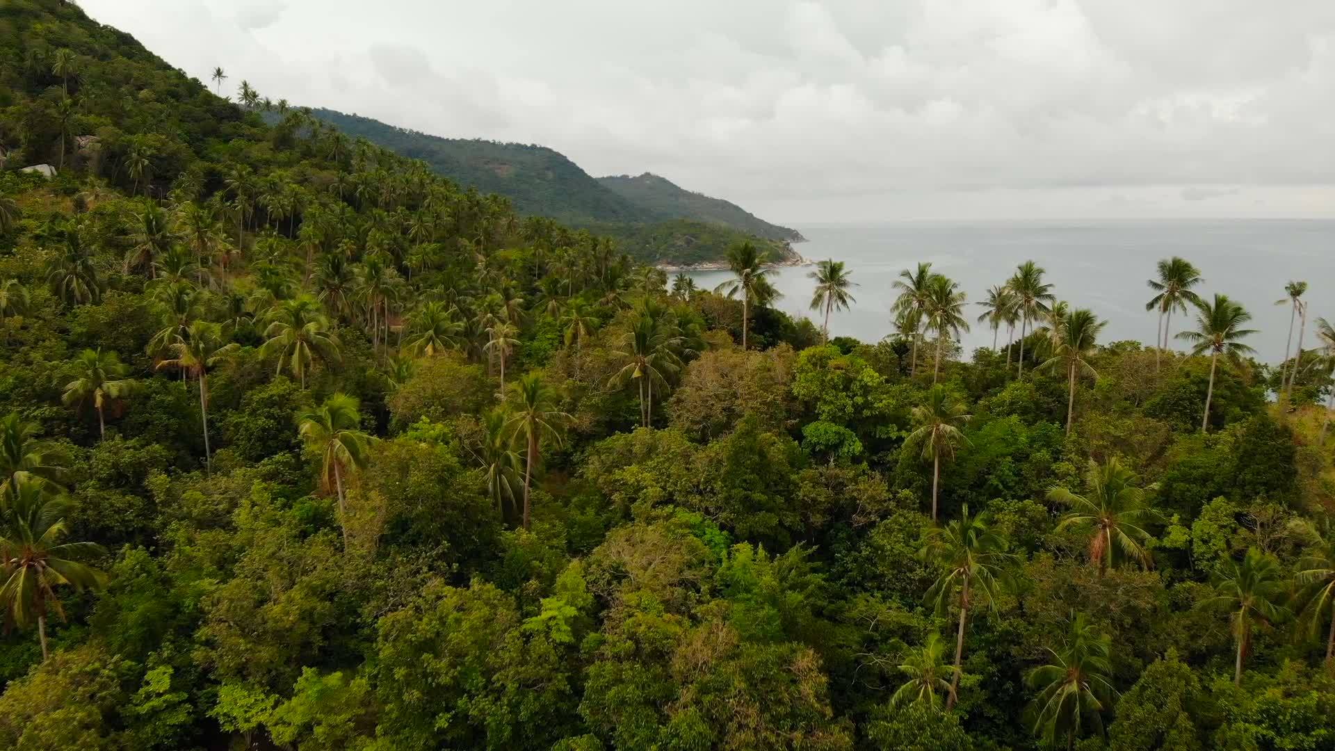 无人机俯瞰热带海岸的异国情调视频的预览图