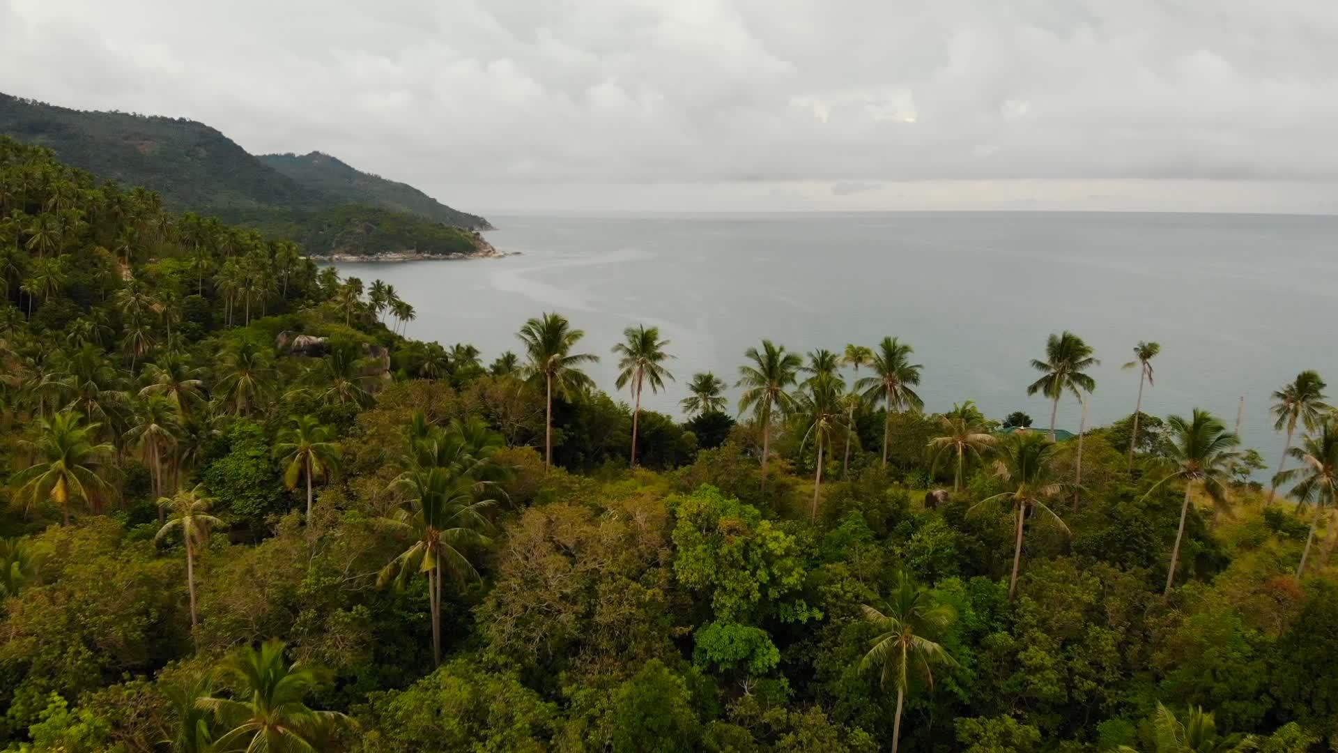 空中无人机俯瞰异国天堂热带海岸悬崖火山石覆盖视频的预览图