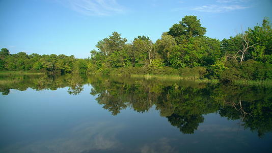 南方亚述自然在夏天视频的预览图