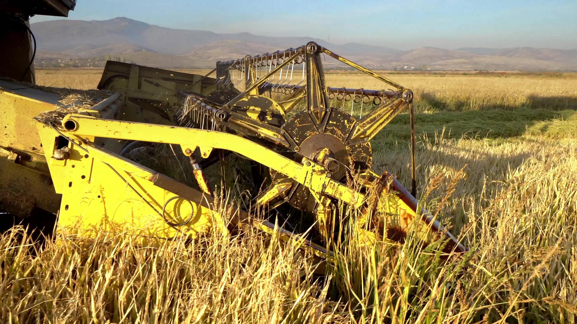 综合收割器收集小麦作物的电影制片人视频的预览图