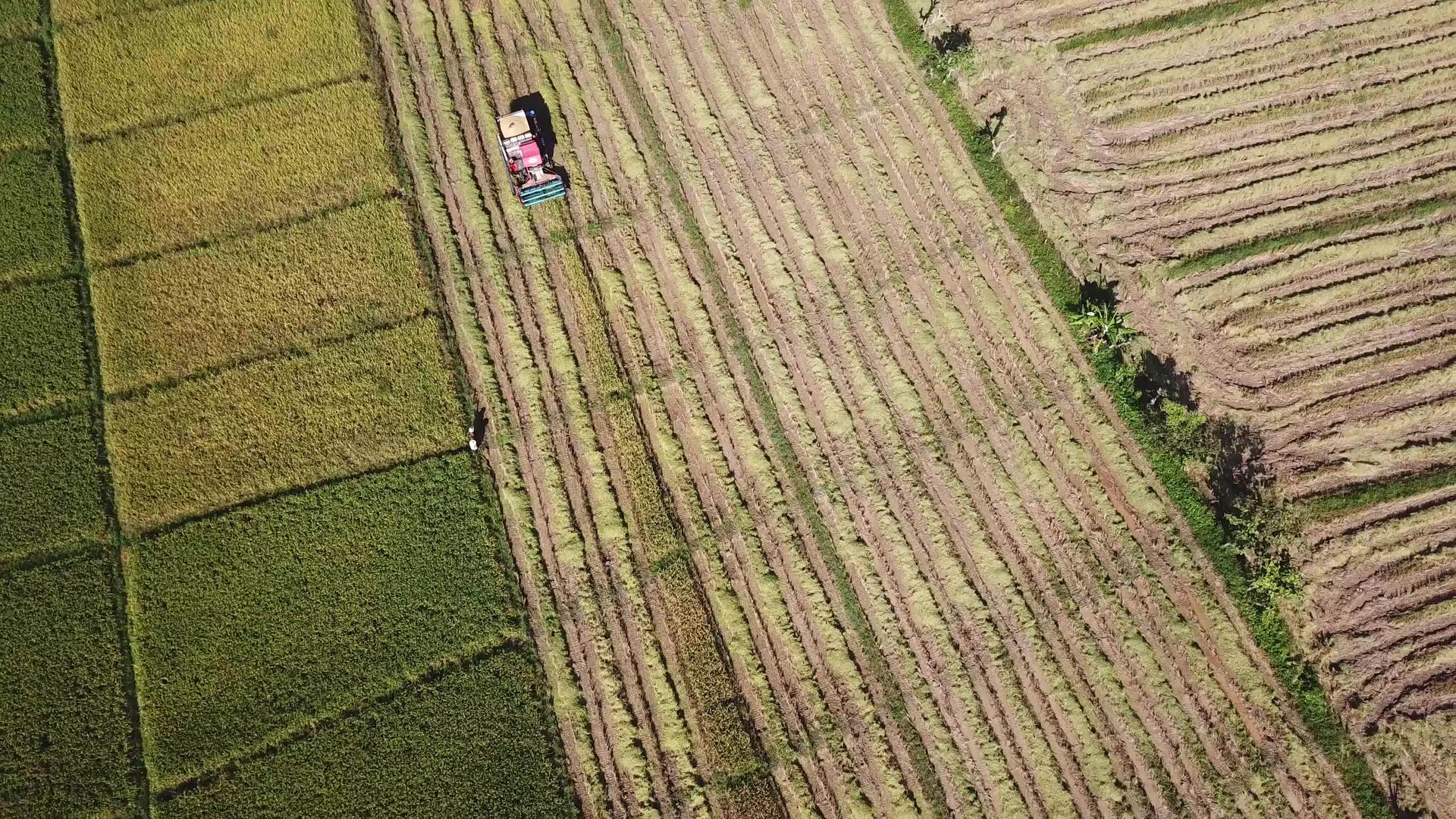 农田空中观测收割器合在一起视频的预览图