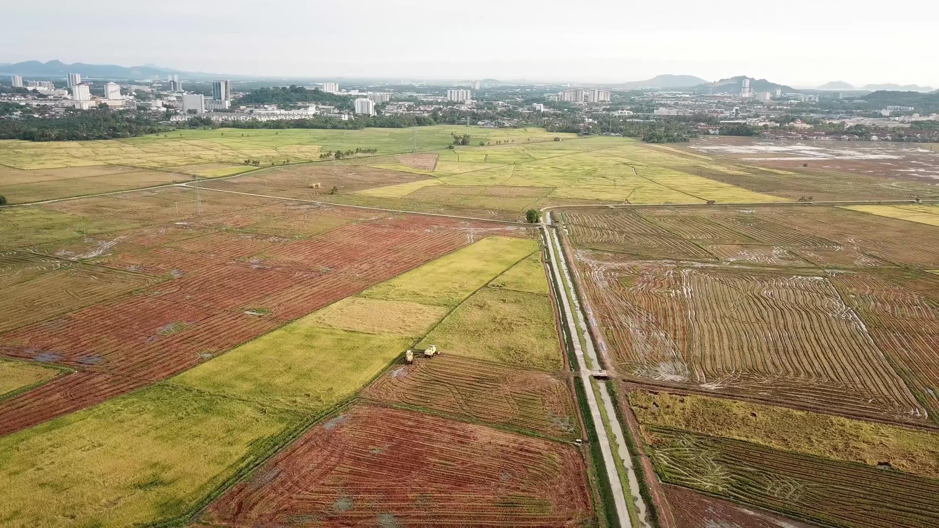 观察伯南田稻田两台收割机的空气视频的预览图