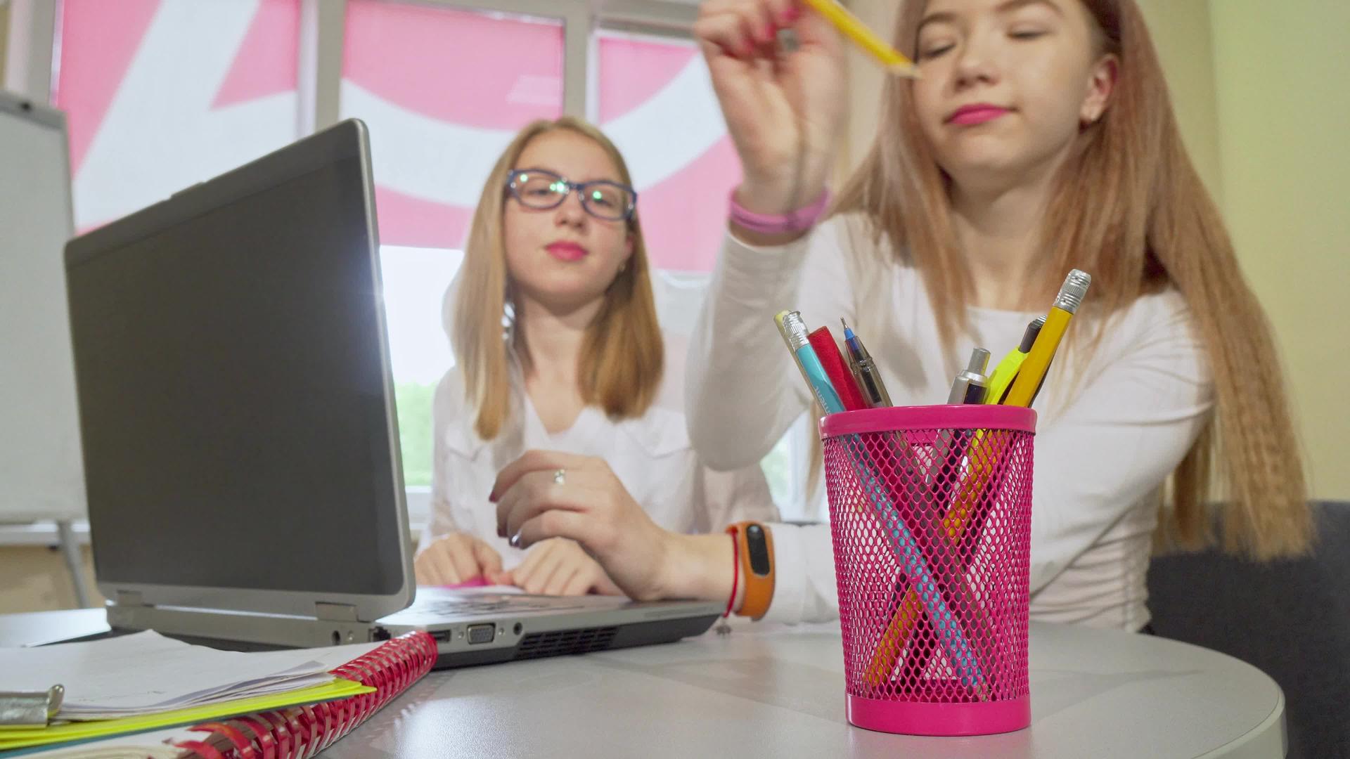 两名女女学生用笔记本电脑一起学习视频的预览图