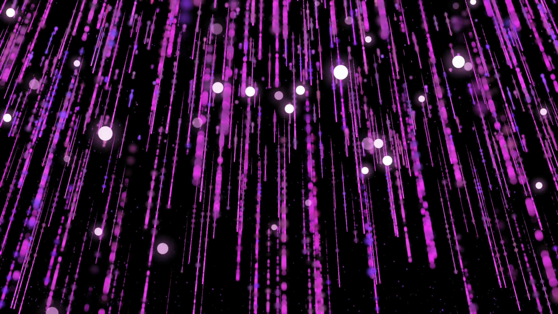 紫色粒子线条视频的预览图