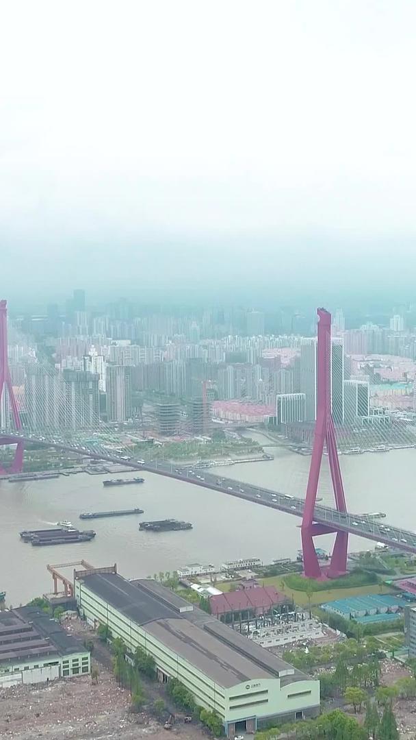 杨浦大桥视频的预览图
