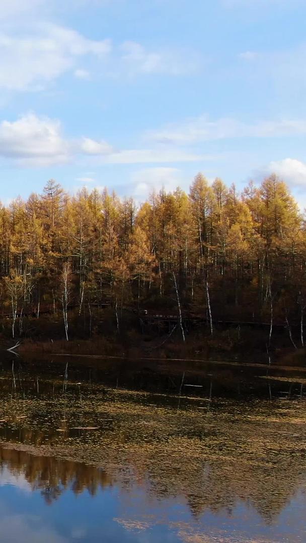阿尔山景区航拍地池和金色原始森林视频的预览图