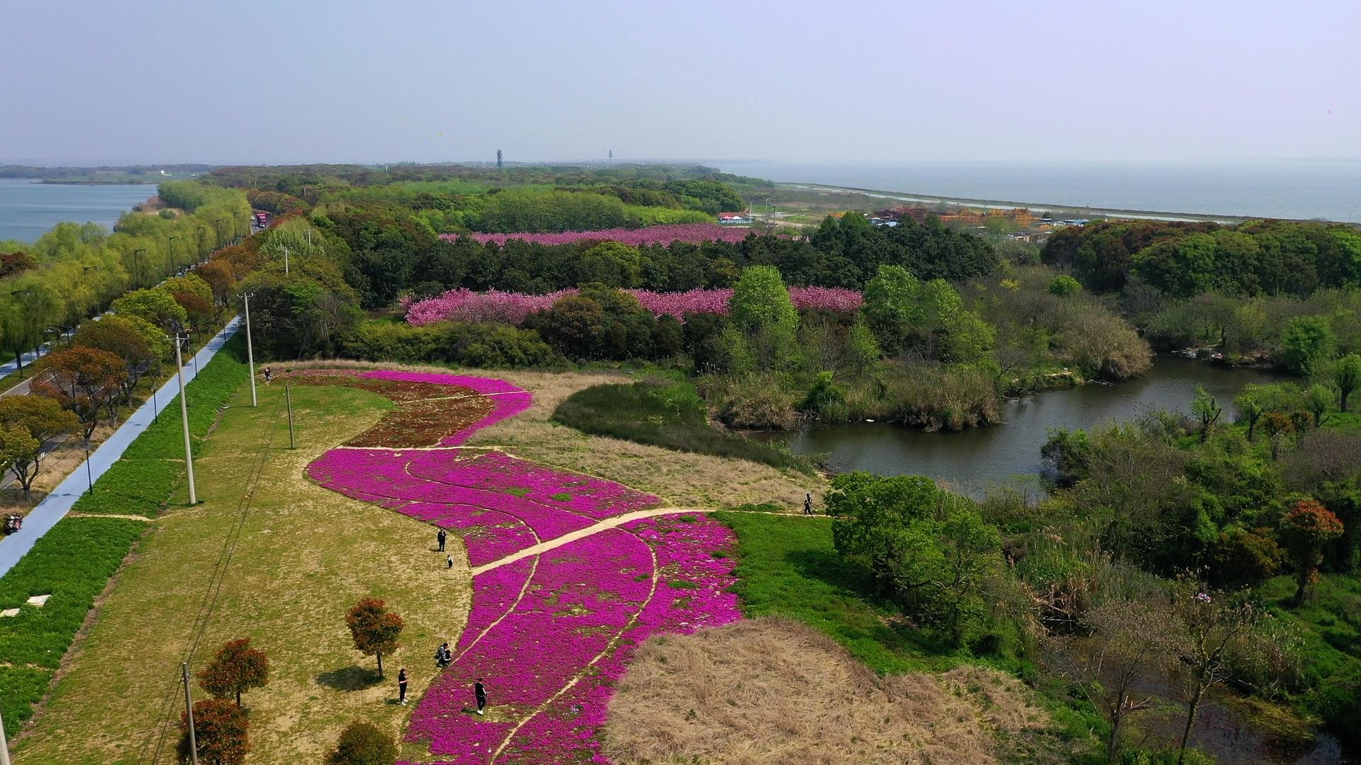 航拍苏州阳澄湖旅游度假区视频的预览图
