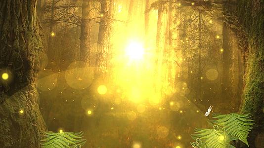 唯美光效阳光照射森林动态视频背景元素视频的预览图