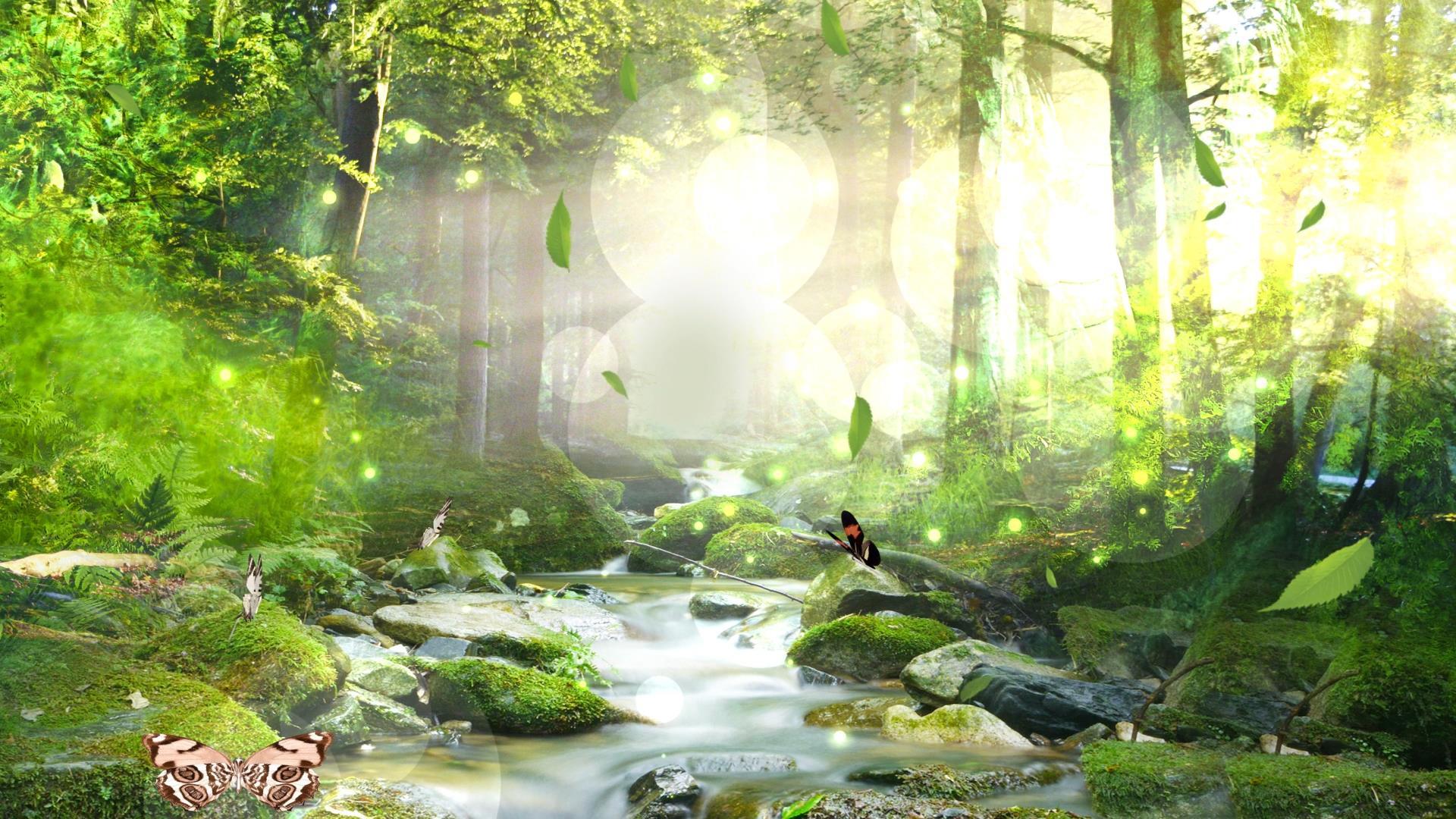 动态丛林落叶蝴蝶动态光效粒子背景视频元素视频的预览图