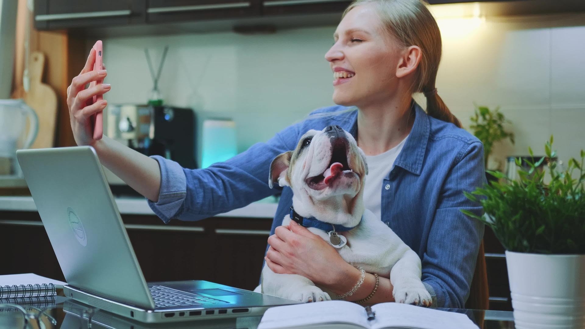 一个漂亮的女人用她的狗在她的智能手机上打了一个视频电话她手里有一只小狗视频的预览图
