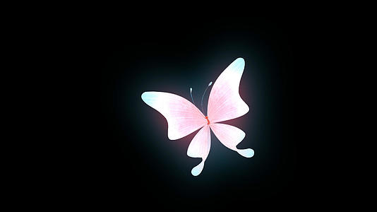 蝴蝶振翅动态视频的预览图