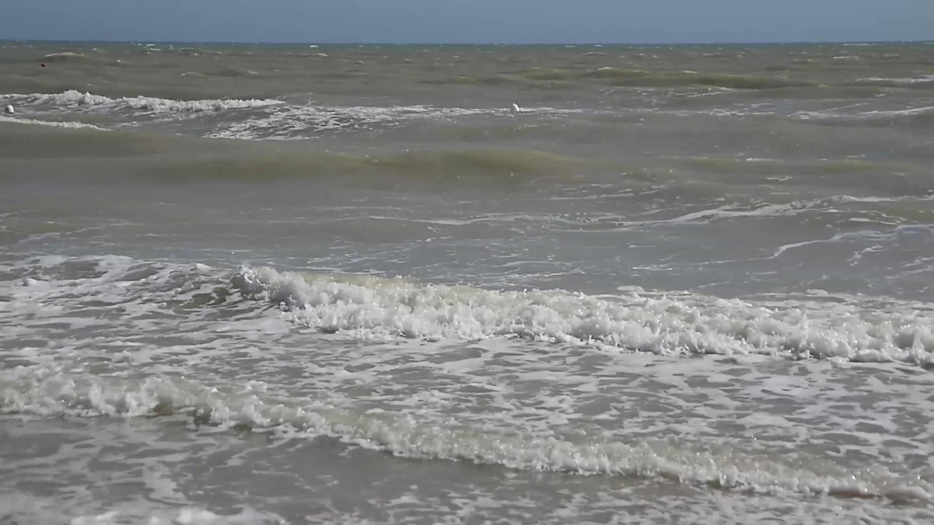 海岸线海2视频的预览图