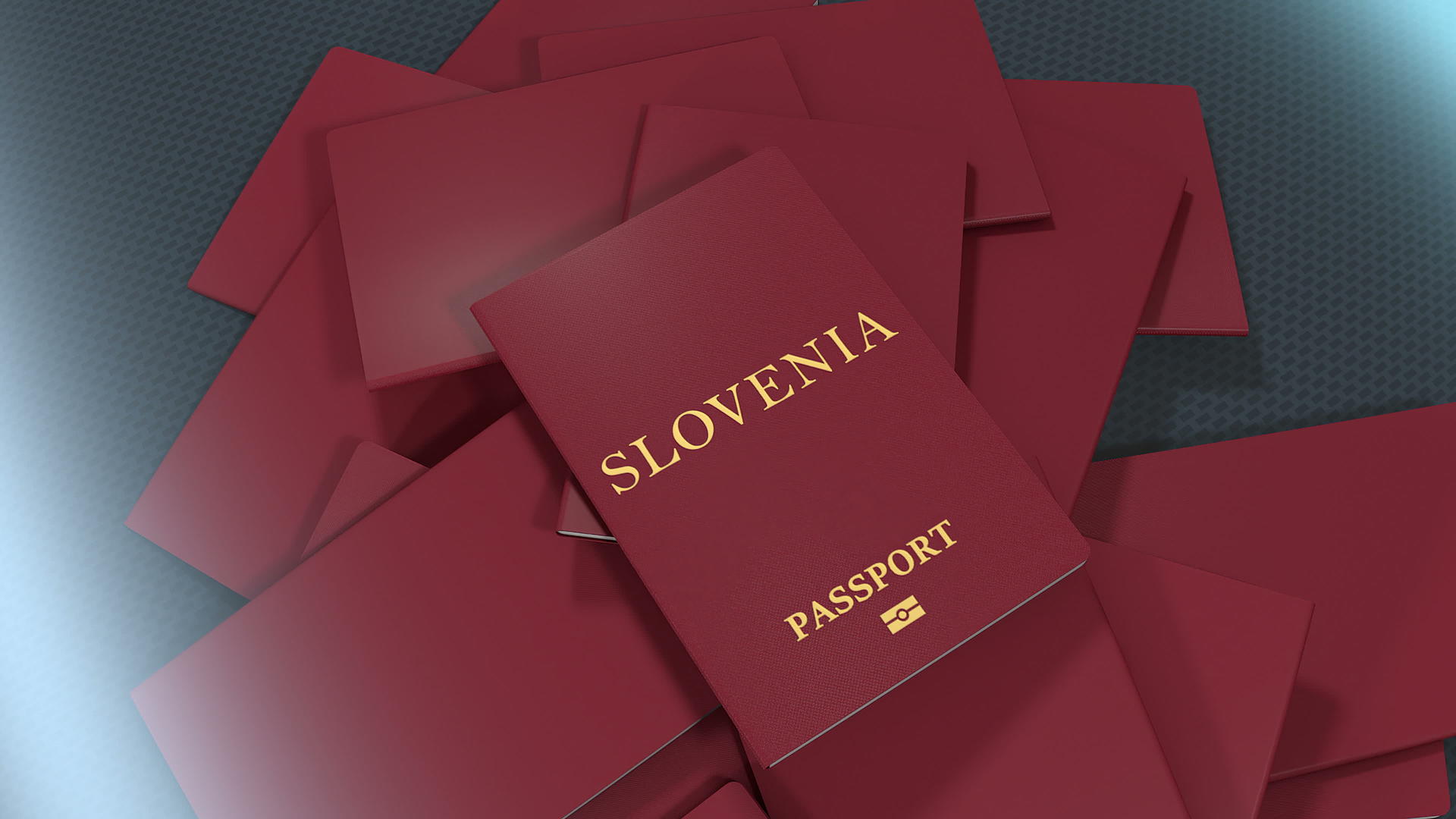 斯洛文尼亚旅行护照视频的预览图