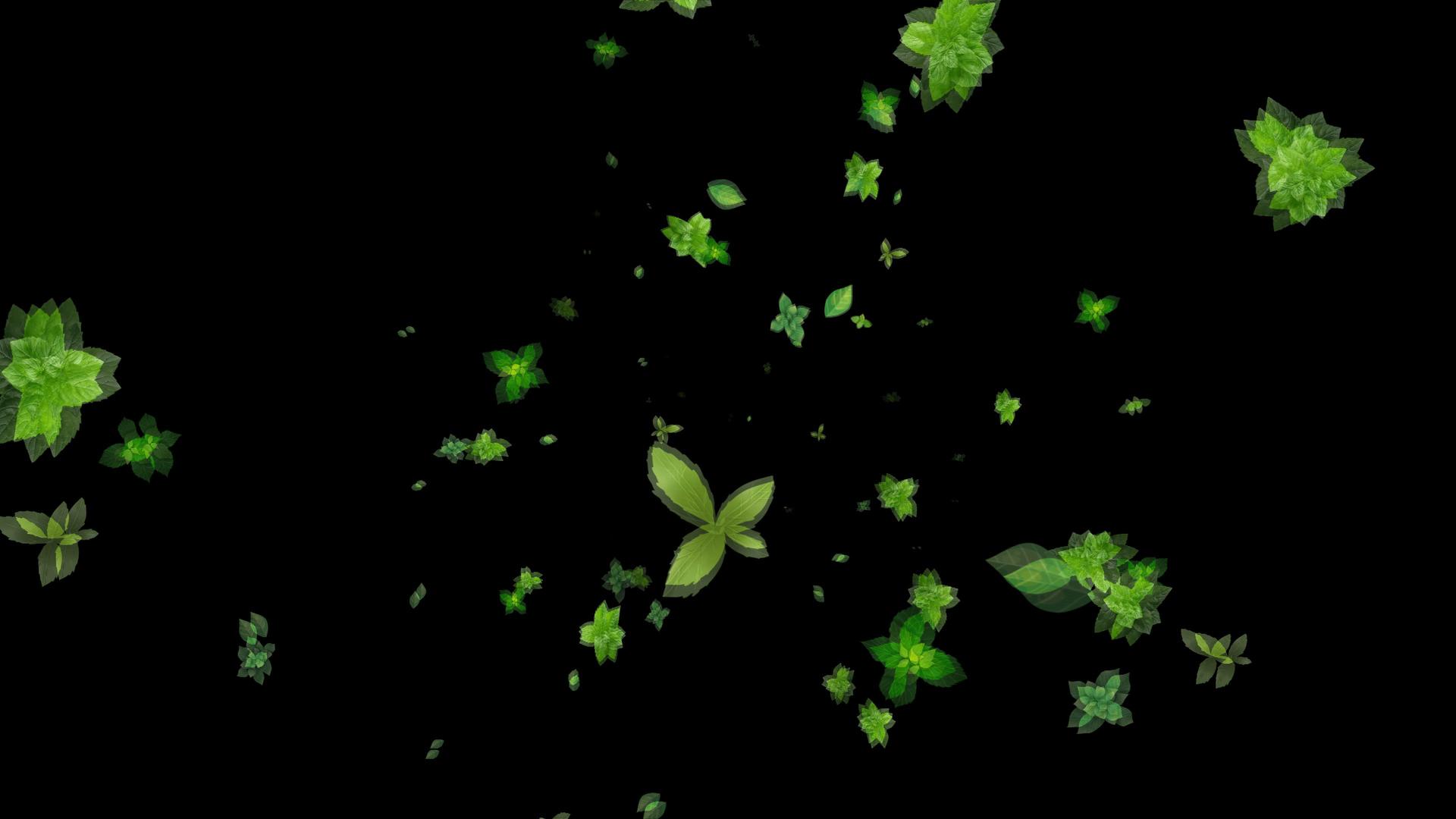动画展示薄荷粒子旋转冲屏视频的预览图