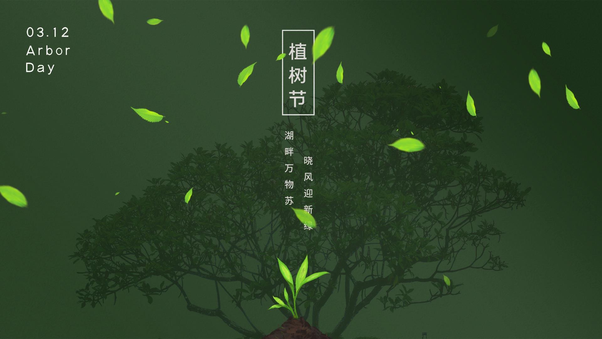 绿色植树节4K背景视频素材视频的预览图