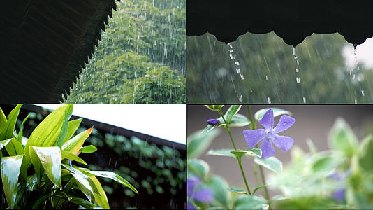 4k节气雨水视频合集视频的预览图