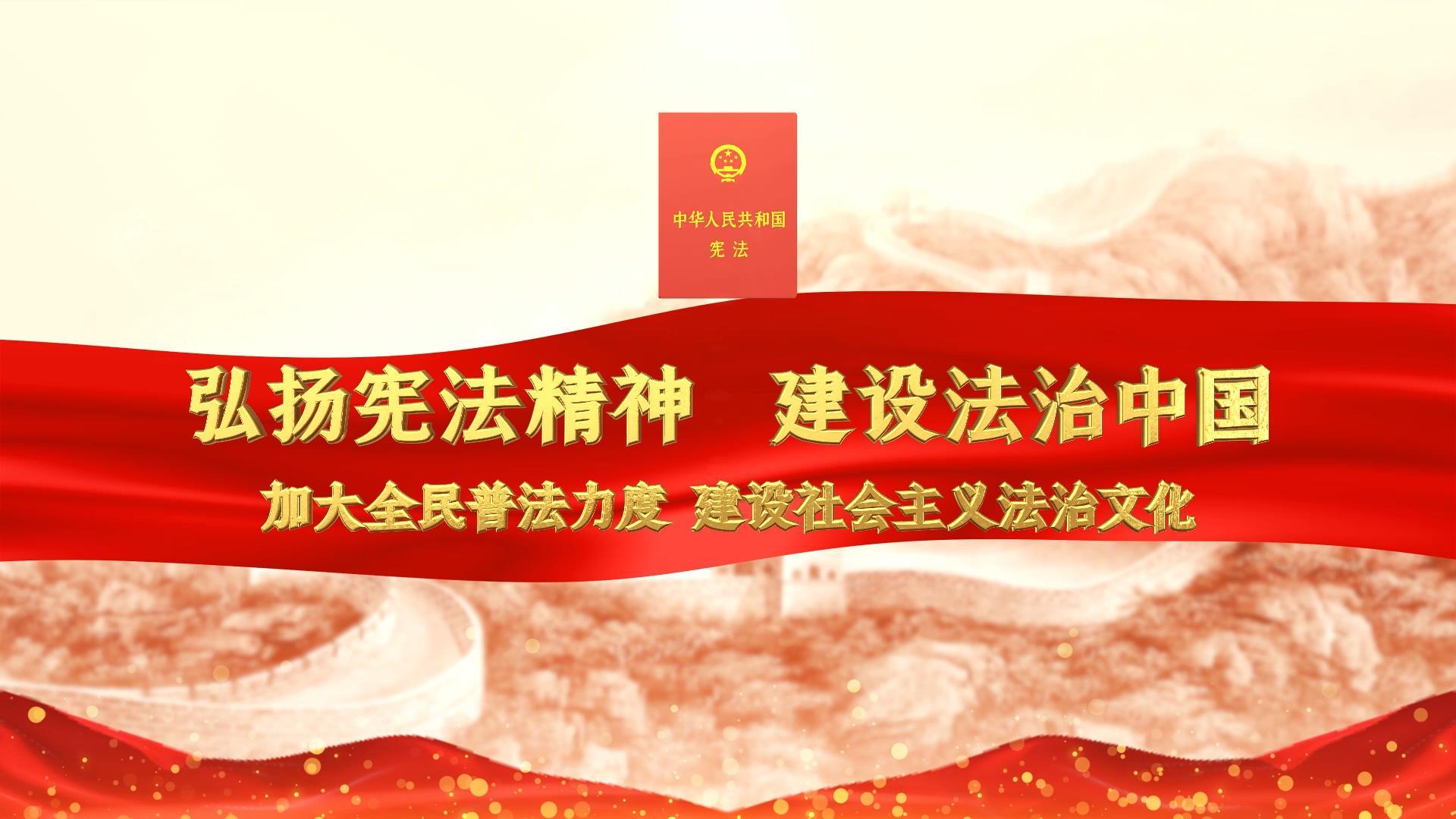 三维红色党政宪法宣传片视频的预览图