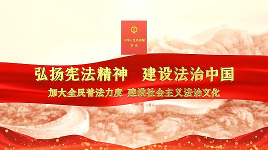 三维红色党政宪法宣传片视频的预览图