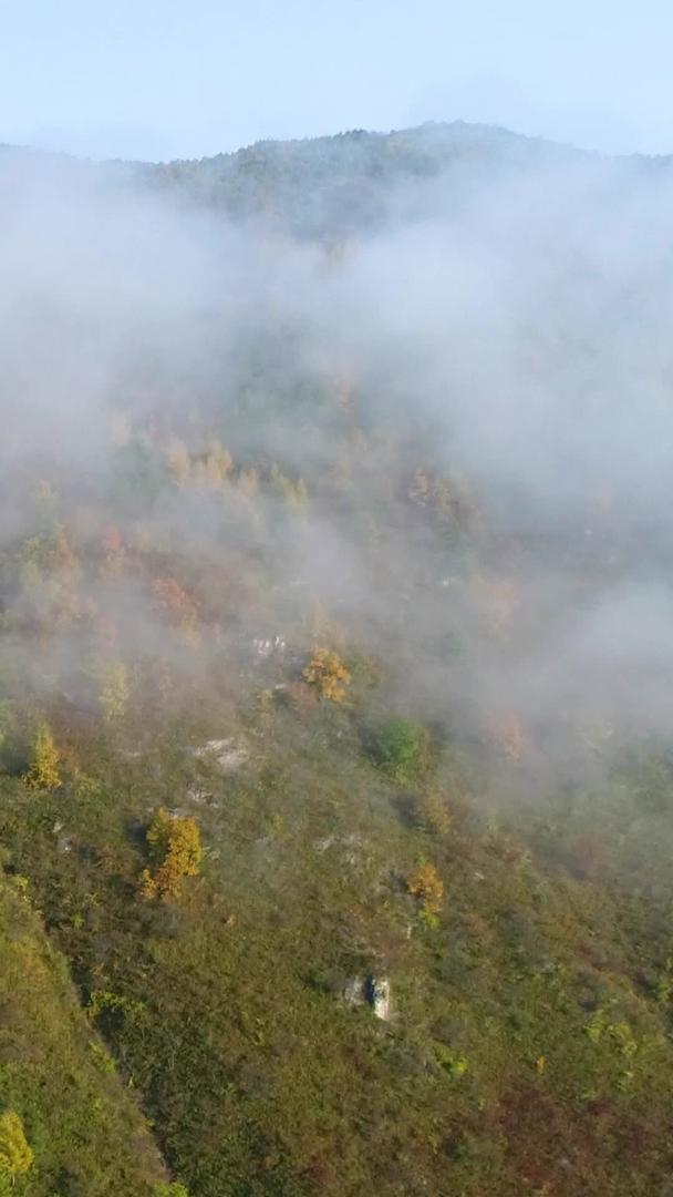 山中秋天云海航拍视频的预览图