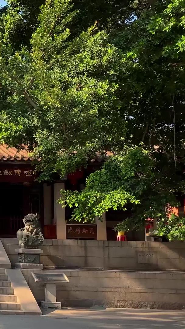 泉州南少林寺4A景区视频集合视频的预览图