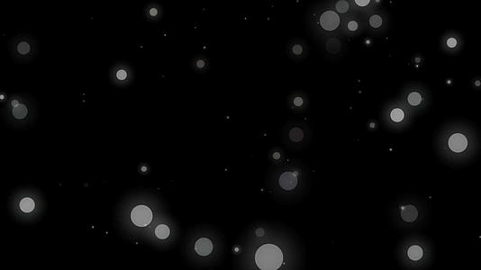 白色滤镜粒子光效视频的预览图