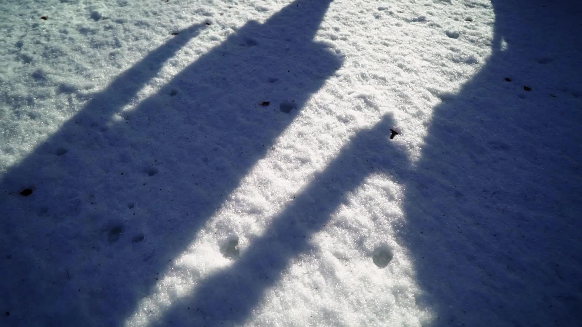 一对夫妇在公园里行走的影子视频的预览图