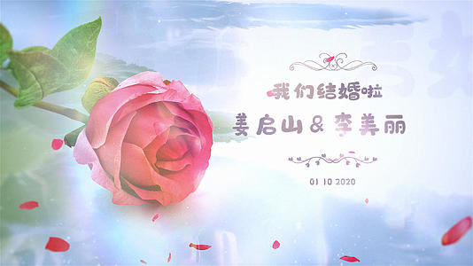 视频婚礼包装玫瑰花瓣照片相册片头视频的预览图