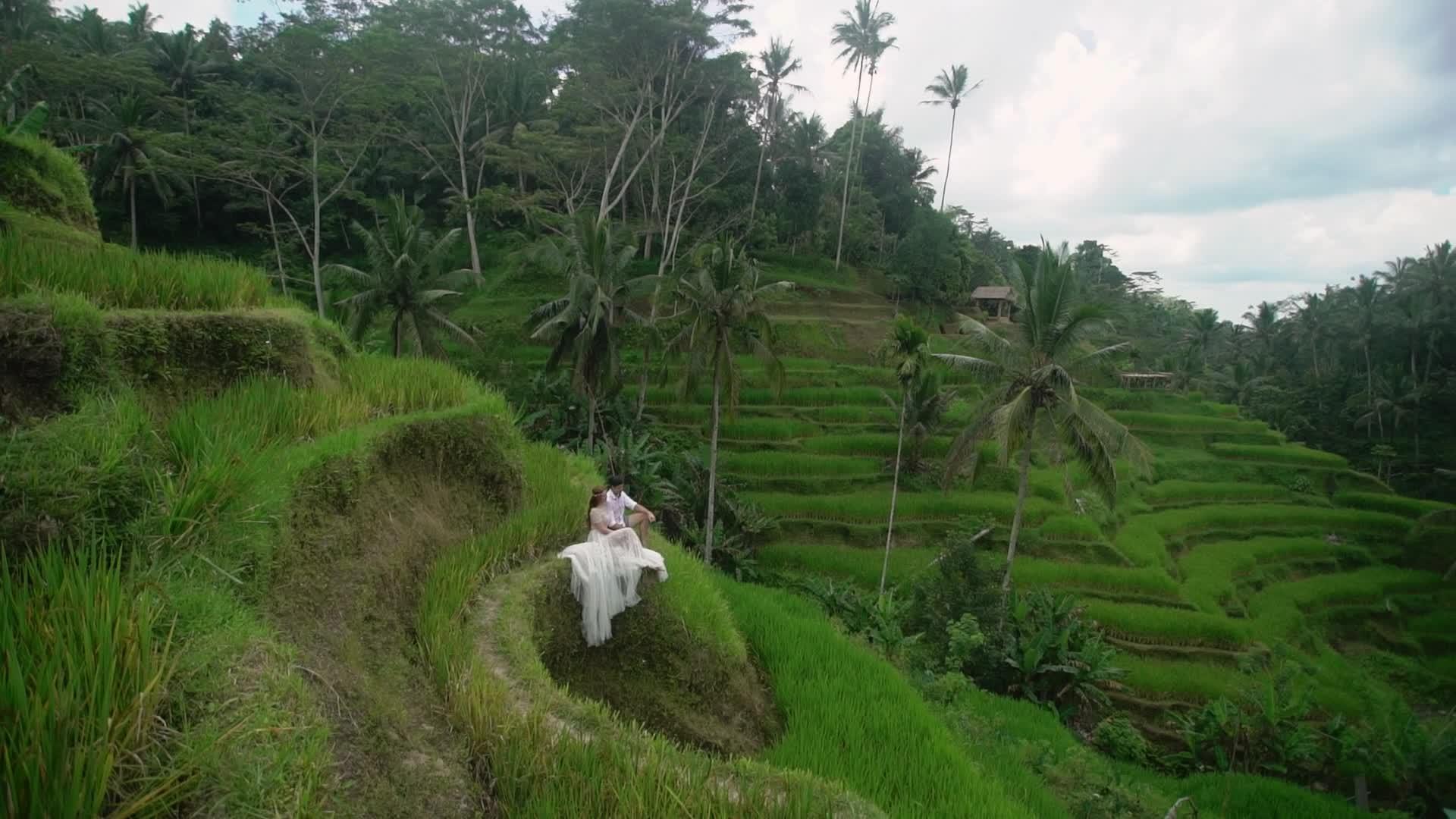 新婚夫妇坐在那里Bali在稻田台上手势手牵手拥抱浪漫视频的预览图