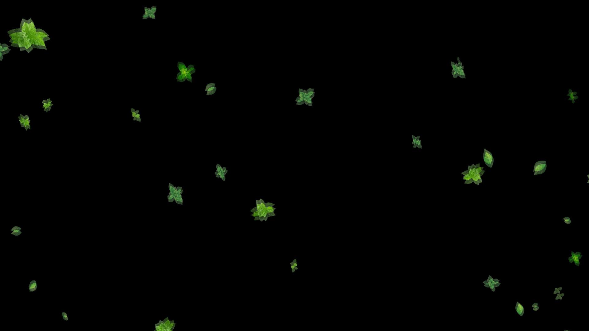 薄荷叶粒子飘落修饰动画视频的预览图