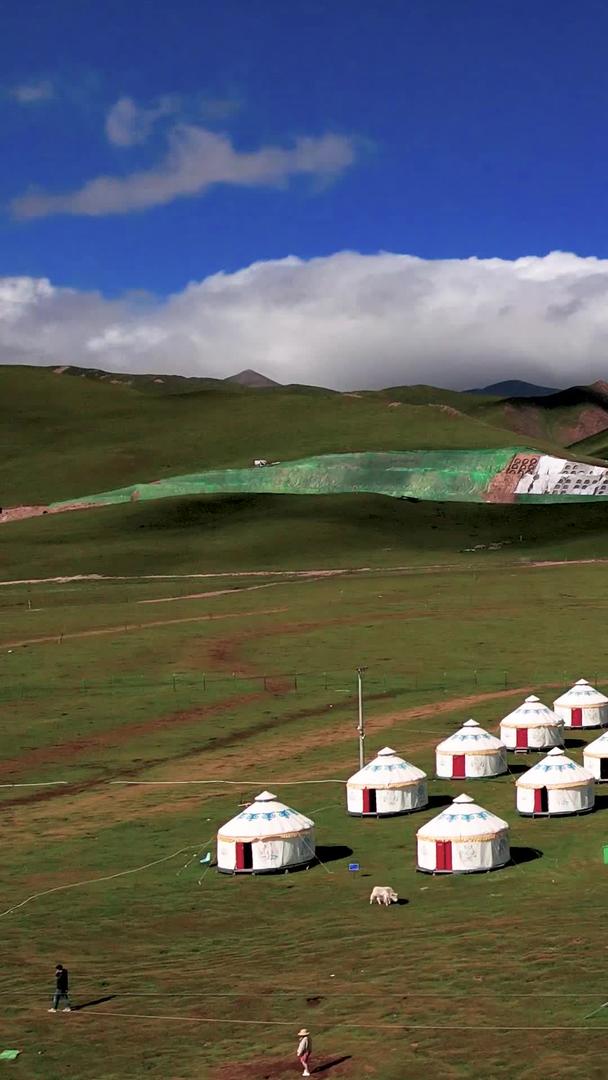 青海旅游蒙古包和自然风光视频的预览图