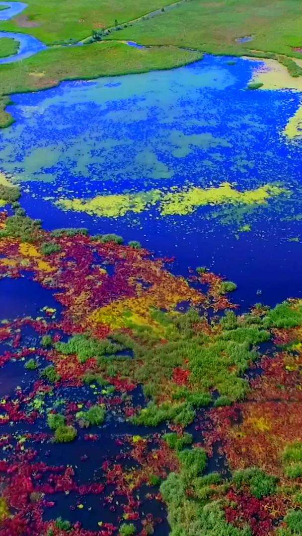 延边湖水和绿色植物航拍视频的预览图