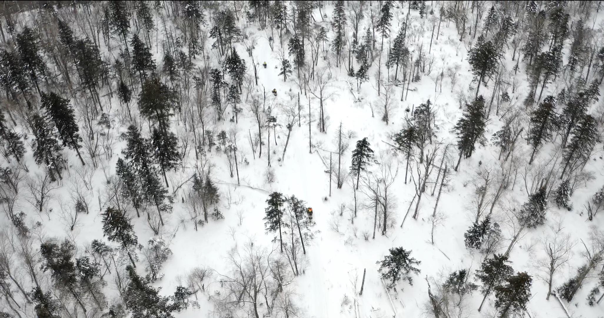 航拍林中雪地摩托视频的预览图