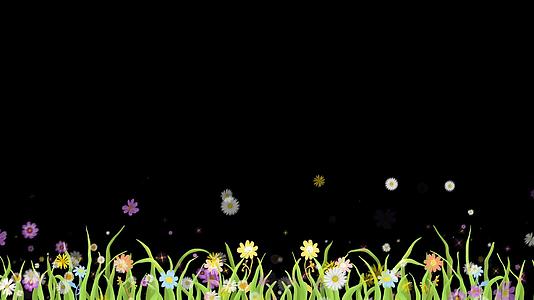 花卉前景修饰带通道动画视频的预览图