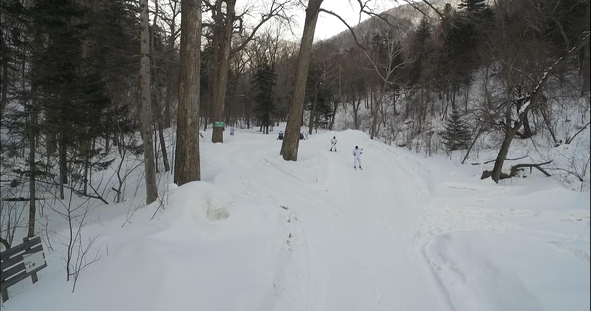 雪地滑雪视频的预览图