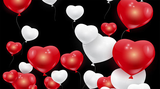 情人节告白气球动画元素带透明通道视频的预览图