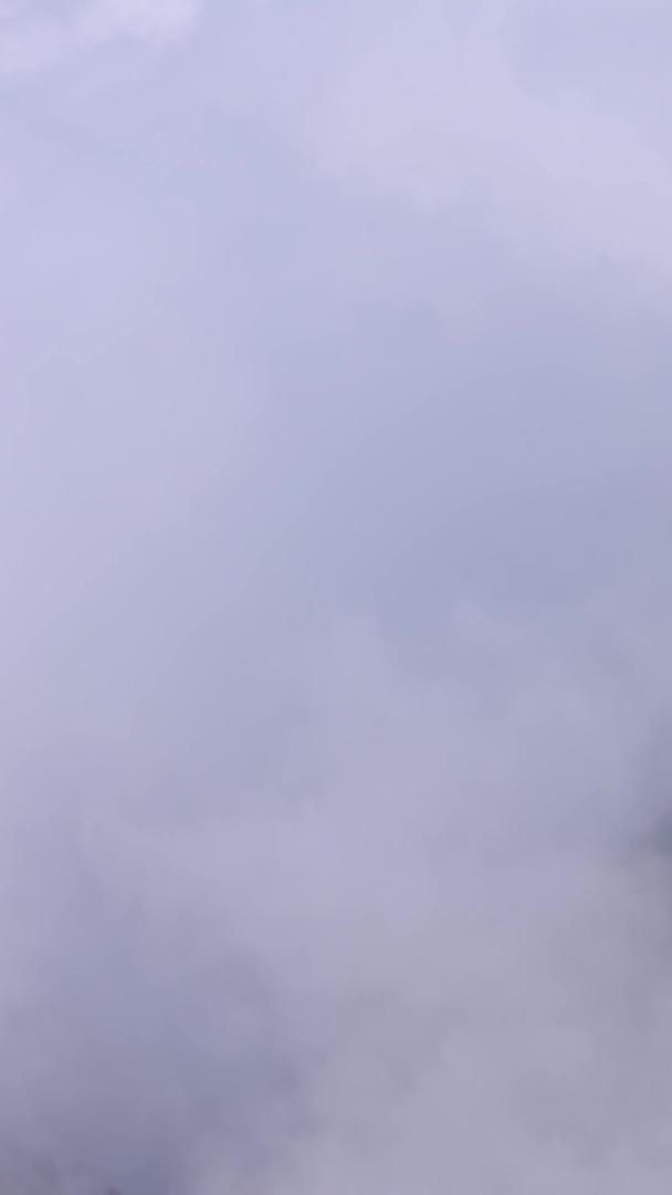 老君山在云海中航拍视频的预览图